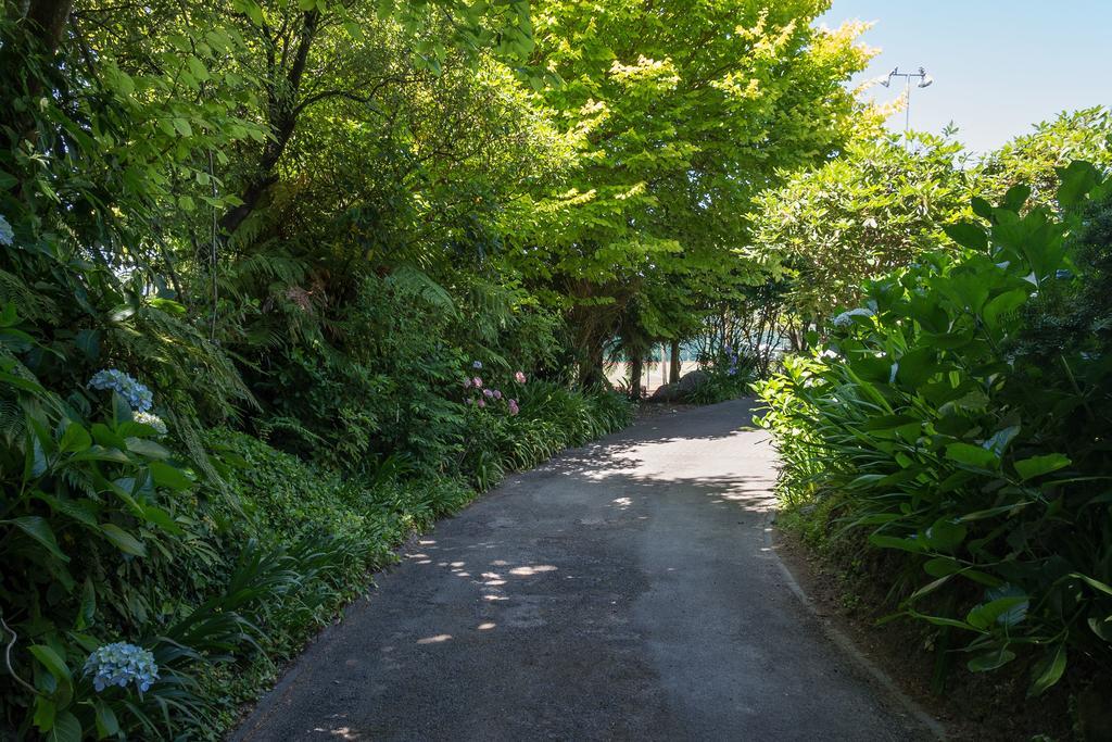 The Flying Trout Boutique Lodge Taupo Exteriér fotografie